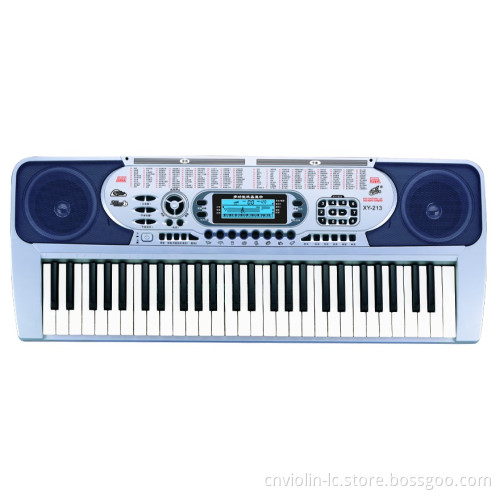 Professional Electronic Keyboard (XY-213)